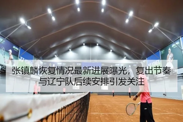 张镇麟恢复情况最新进展曝光，复出节奏与辽宁队后续安排引发关注 - yaboyule
